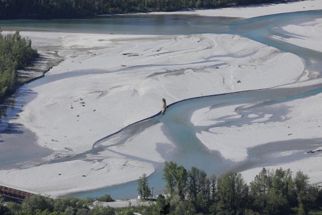Baita Tana Da L'Ors Forgaria nel Friuli Exterior foto