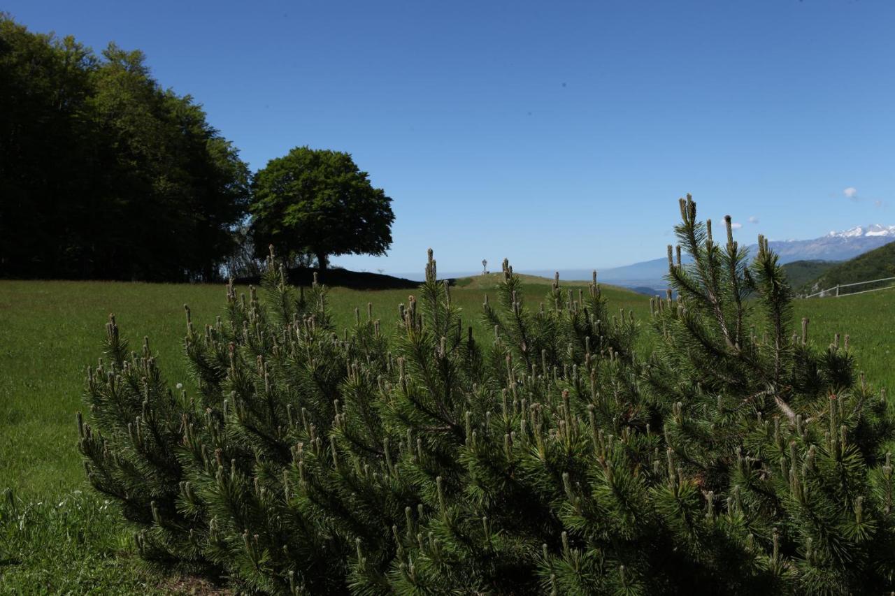 Baita Tana Da L'Ors Forgaria nel Friuli Exterior foto