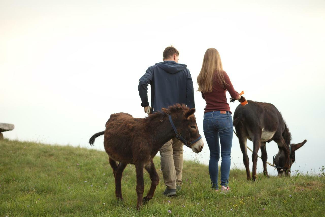 Baita Tana Da L'Ors Forgaria nel Friuli Exterior foto